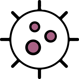 Epidemiology & Biostatistics